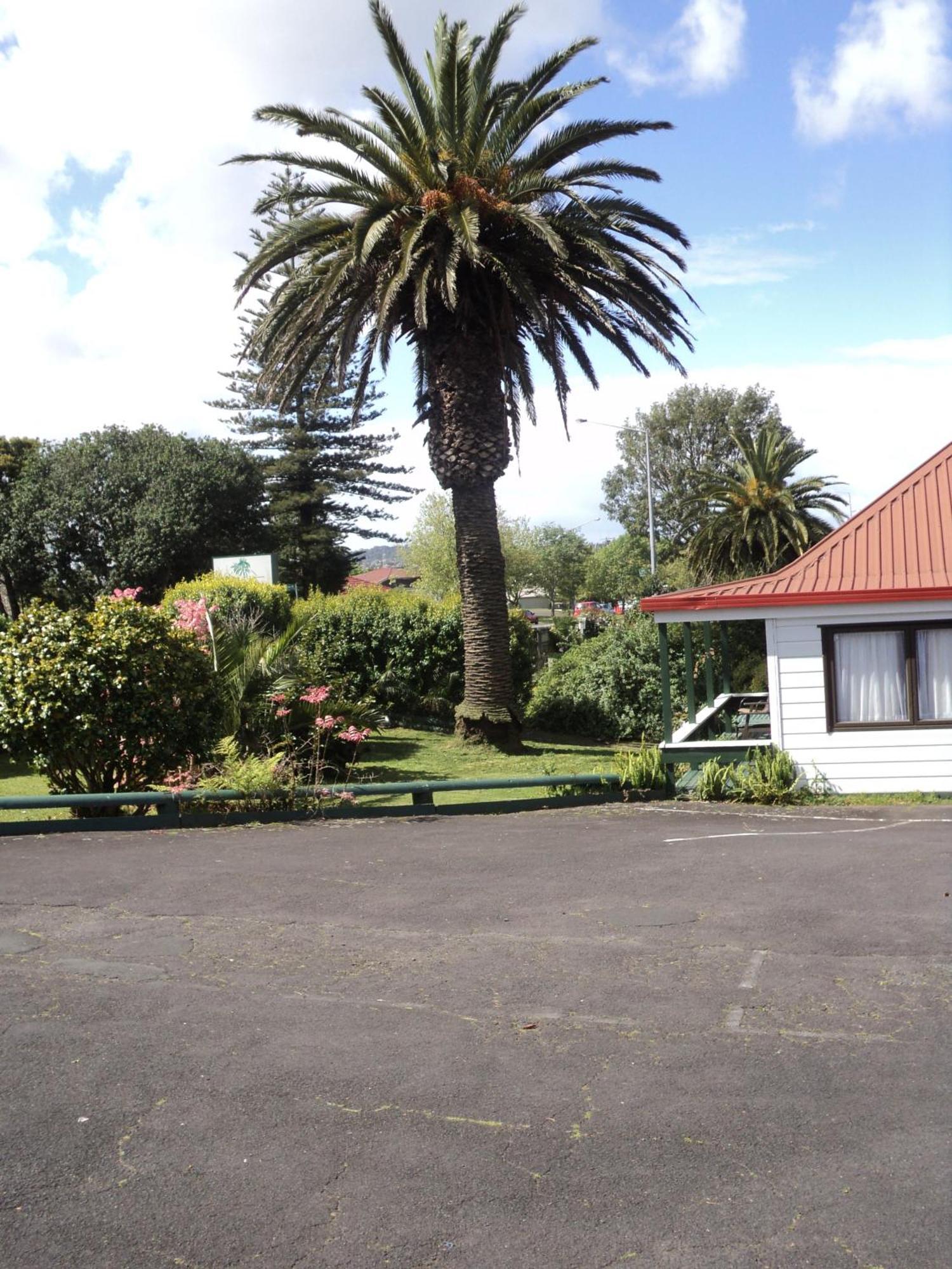 New Haven Motel Auckland Dış mekan fotoğraf