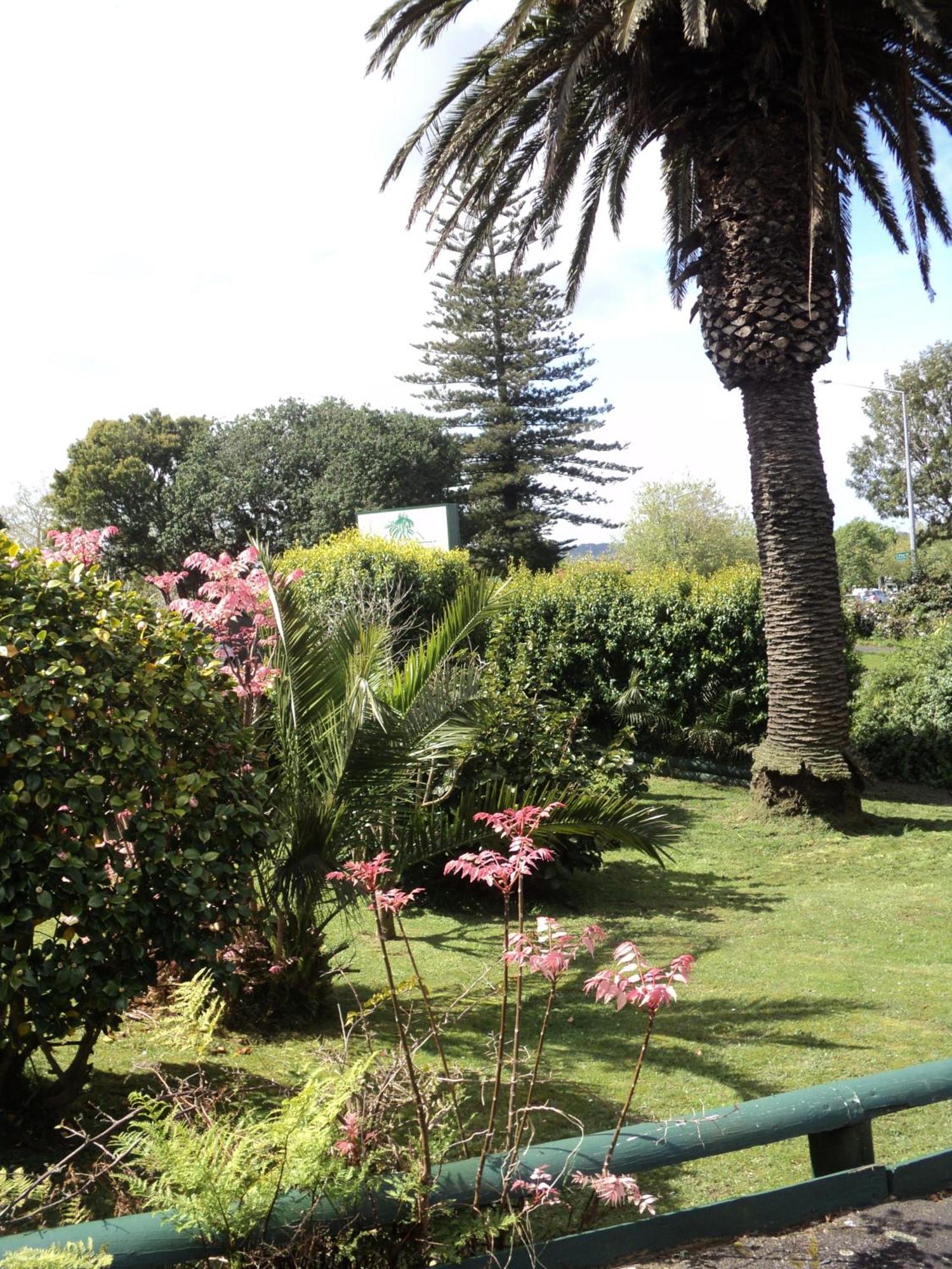 New Haven Motel Auckland Dış mekan fotoğraf
