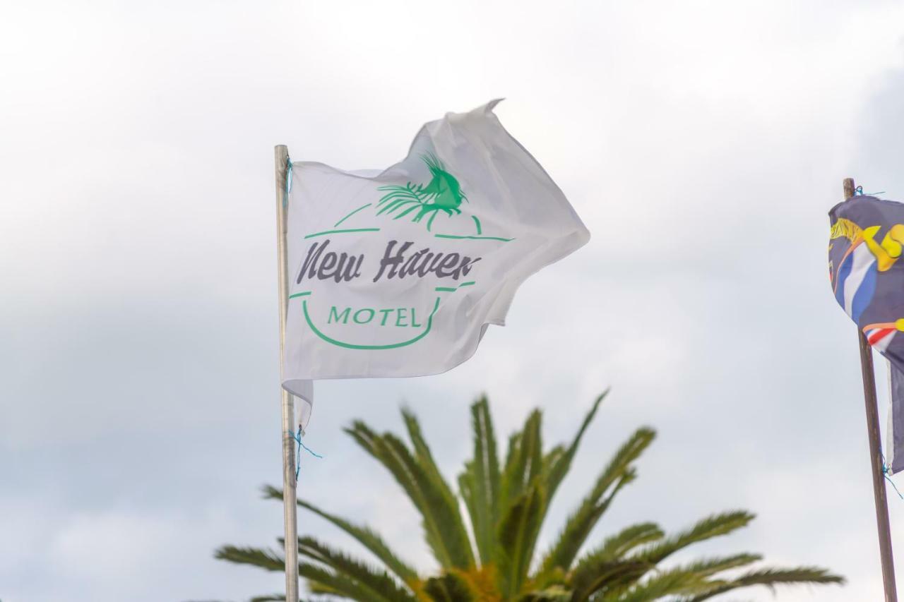New Haven Motel Auckland Dış mekan fotoğraf